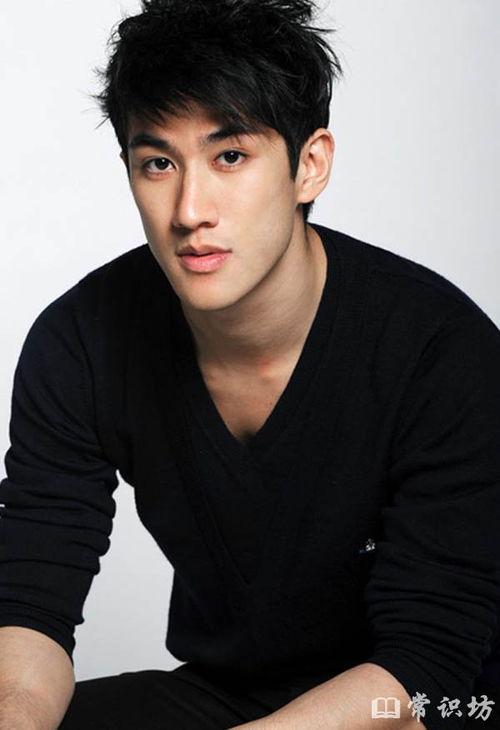 中国十大混血男明星,盘点中国十大混血男星的风采与魅力