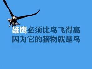 娱乐吃瓜酱励志文案图片,从吃瓜到追梦，她用行动诠释了青春的力量
