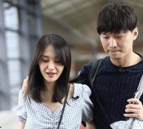 娱乐圈吃瓜定律,吃瓜定律下的明星真相大起底